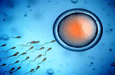 浙江杭州做试管婴儿怎么才能得到A级囊胚？