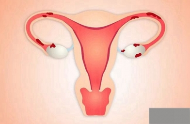 卵巢早衰的女性做试管手术可以成功吗？